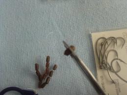 monturi crap 2 - images-28.jpg